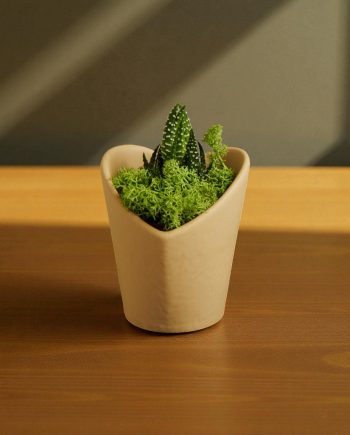 Claraluna - Vaso Cuore Tortora 26012