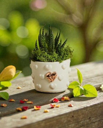 Claraluna - Vaso Con Piantina Cuore RosaGold 26281