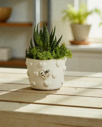 Claraluna - Vaso Con Piantina Cuore Silver 26282