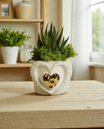 Claraluna – Vaso Con Piantina Cuore Gold 26286