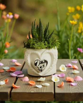 Claraluna – Vaso Con Piantina Cuore Silver 26285